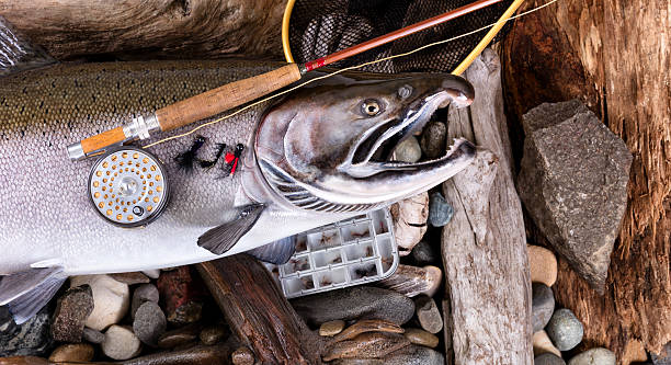 Vintage Fly Fishing Equipment On Top Of Large Trout Stock Photo - Download  Image Now - iStock