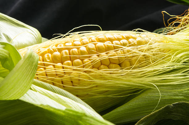 corn on cobs