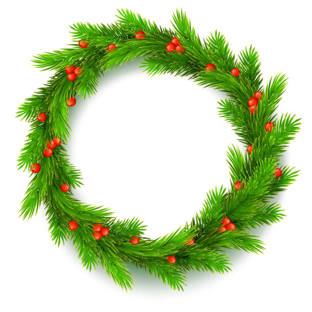 Christmas wreath, fir branches, red berries of viburnum Traditional Christmas wreath made of green fir branches with red berries of viburnum, on a white background. Vector, editable illustration tree crown stock illustrations