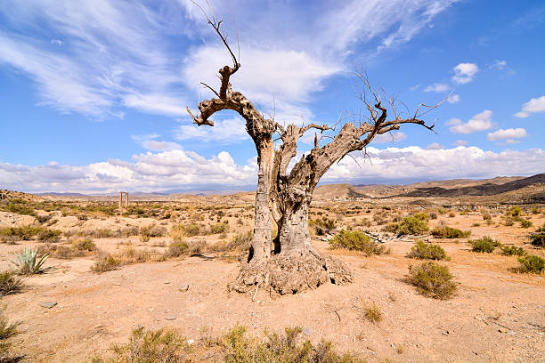 istock Desert Tabernas in Almeria Province Spain 592689672