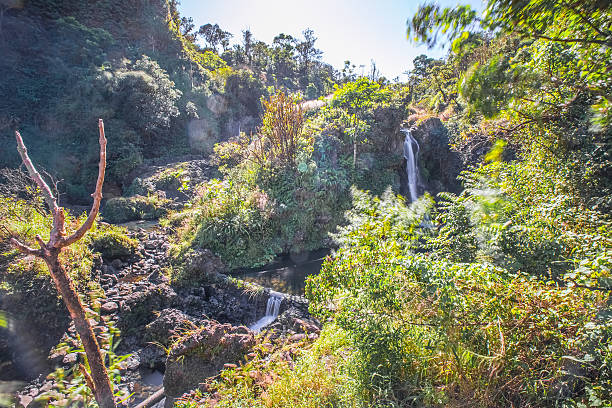 istock Hawaii waterfall with rocks and lush trees 593295520