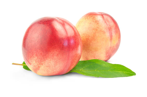 istock two nectarines with green leaves over white background 593298272