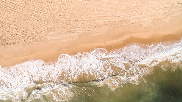 istock Waves Washing onto the Beach Viewed From Above 593300114