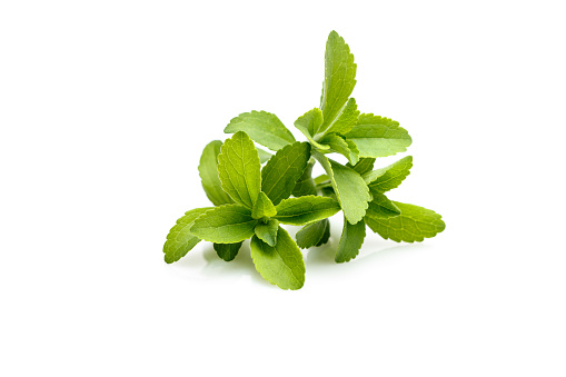 Stevia o dulce hierbas photo