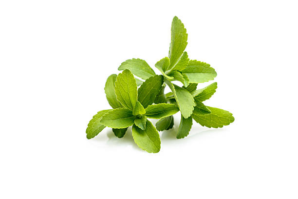 Stevia or Sweet Herb stock photo