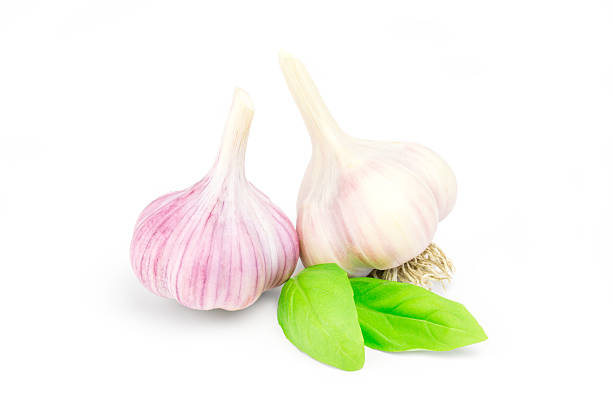 istock two heads garlic isolated on white background 593300304