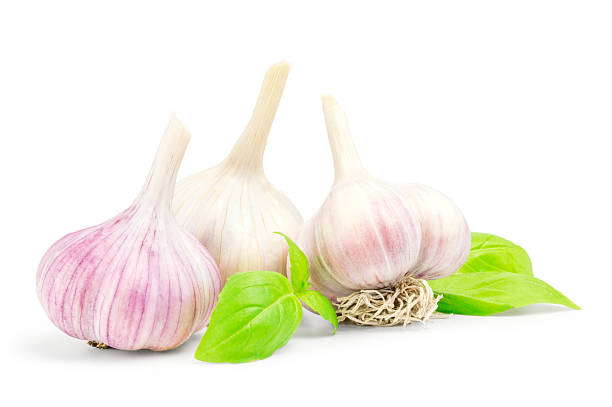 istock garlic bulb isolated on white background cutout 593300438