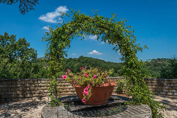 Flower pot under an arch with climbing plants, in the background green hills and a blue sky