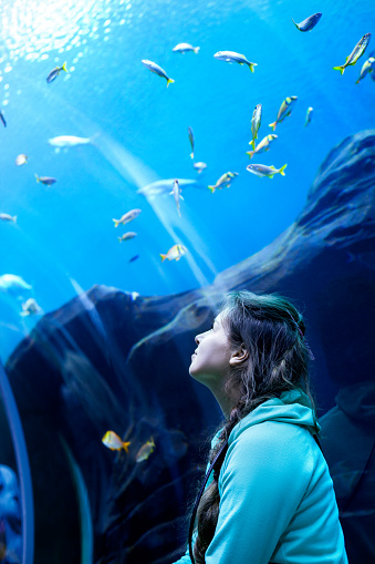 Young pretty caucasian woman with long curly brunette hair in green sweater watching fishes in a tropical aquarium tank with coral reef wild life at oceanarium.