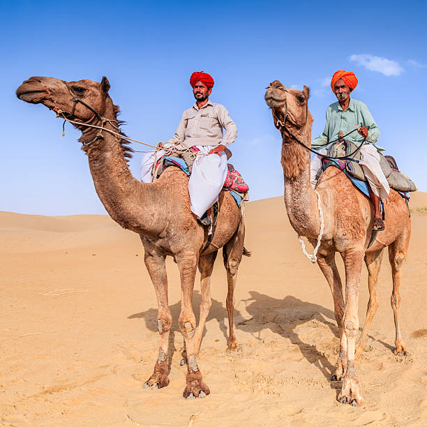 istock Indian men riding camels on sand dunes, Rajasthan, India 593301398