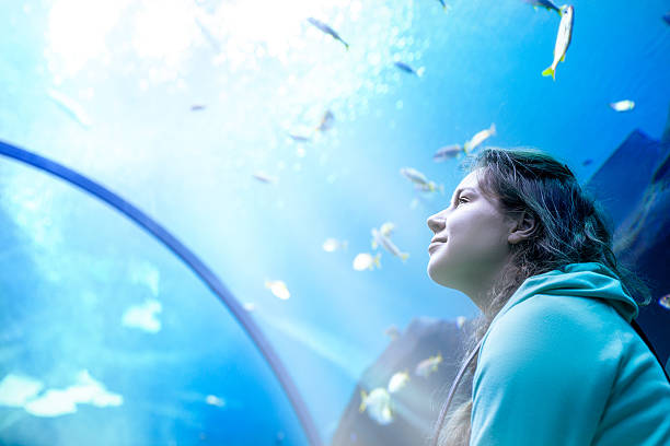 young pretty woman watching fishes in a tropical aquarium - coral break imagens e fotografias de stock