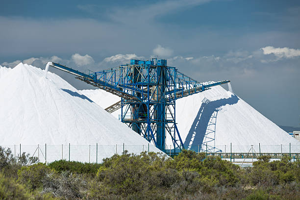 istock Sea salt production and storage 593303996