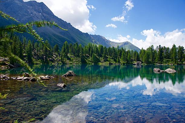 istock Lago Viola paradise in Switzerland 593310394