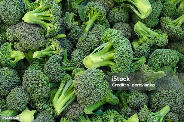 Broccoli In A Pile Stock Photo - Download Image Now - Broccoli, Close-up, Backgrounds