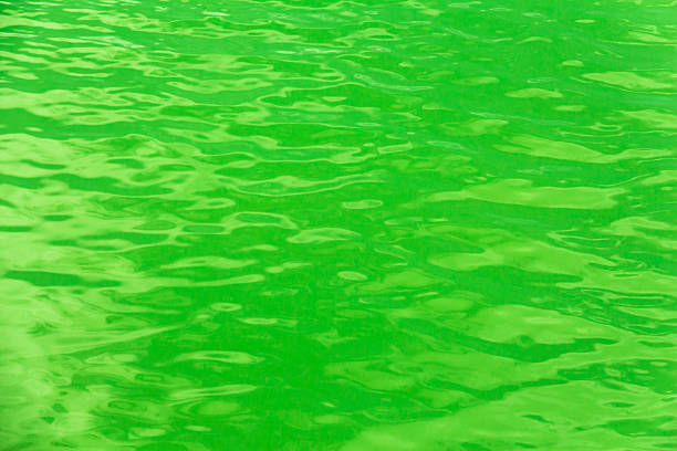 istock blurry image of green water texture 593311934