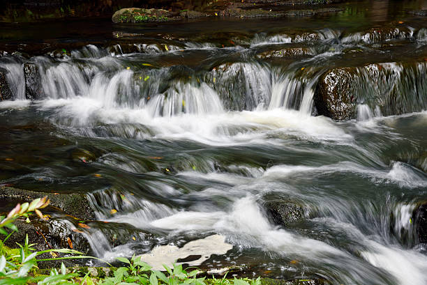 istock Elephanta falls,Shillong ,India 593314956
