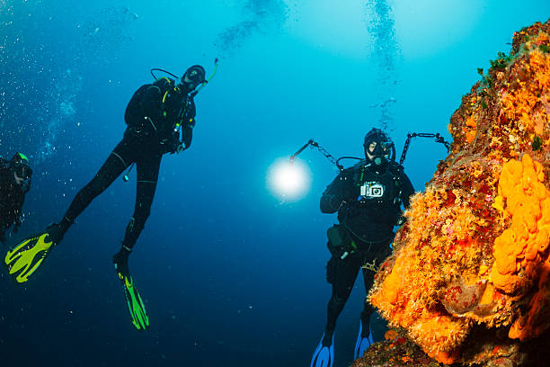 Underwater photographer  Scuba divers photographing  Explore coral reef   Sea life Underwater photographer. Scuba diving. Scuba divers photographing.  Beautiful sea life, live sea orange soft coral. Underwater scene with group of scuba divers, explore and enjoy at coral reef. Scuba diver point of view. underwater camera stock pictures, royalty-free photos & images