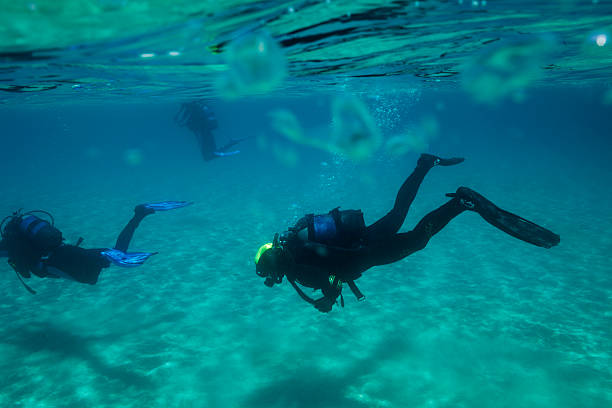 istock Scuba diving    Underwater Two scuba diver in blue lagoon 593317638