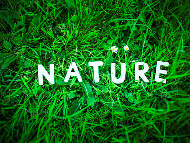 istock Nature words on green grass ground 593318674
