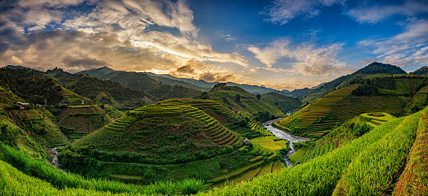 Green Rice fields on terraced in Mu cang chai, Vietnam Green Rice fields on terraced in Mu cang chai, Vietnam Rice fields prepare the harvest at Northwest Vietnam.Vietnam landscapes. thailand rice field stock pictures, royalty-free photos & images