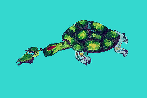istock Sea turtle and baby turtles 593320824