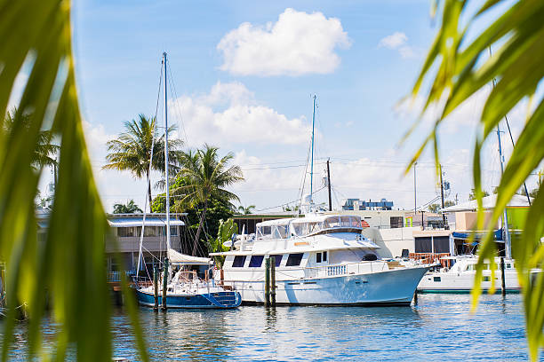 istock Boats docked at a pier 593325956