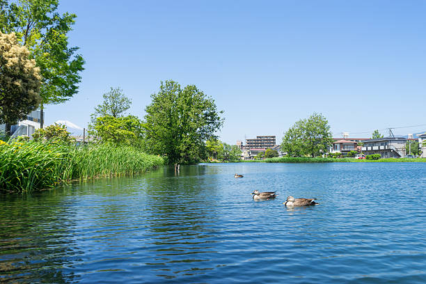 istock Nakazato-Onsuichi / Nakazato water warming pond 593336066