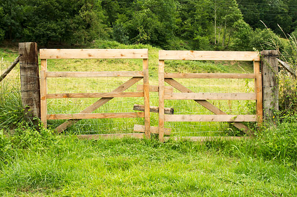 istock Wooden entrance door 593336274