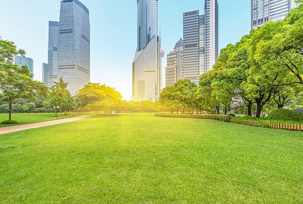 istock central park in the downtown district,china 593337200