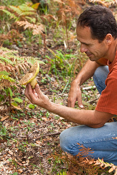istock man in the forest with a fungus 593338232