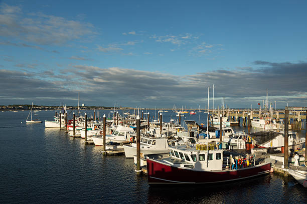 istock Boats in Provincetown Harbor 593340448