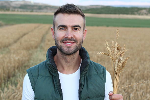 istock Attractive man carrying bunch of ripe wheat 593341076