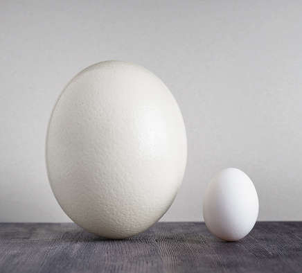 Ostrich egg and chicken egg on black table.