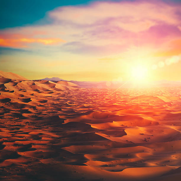 istock Sunny desert, abstract ecological and environmental backgrounds 593342146