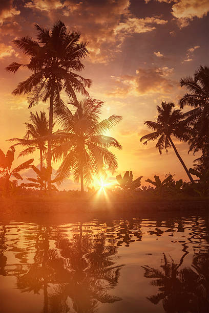 sonnenuntergang auf kerala backwaters - allepey stock-fotos und bilder