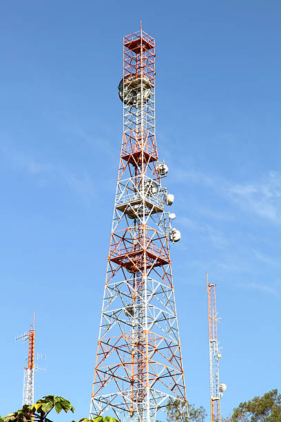 istock Antenna in the Jungle 594014462