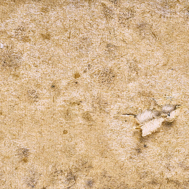 istock Old paper texture. Paper damaged by water 594017846