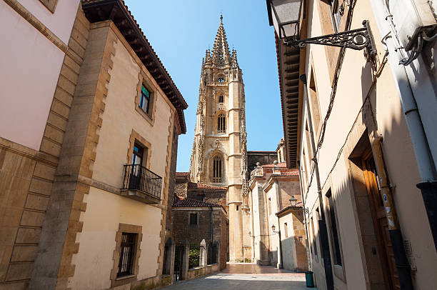 istock Oviedo old town center and Holy Saviour Cathedral tower 594018112