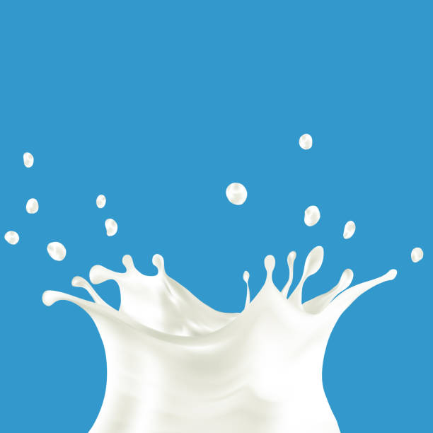 ilustrações de stock, clip art, desenhos animados e ícones de cows, sheeps, goats, soya, rice, oat, coconut milk splash vector - ripple nature water close to