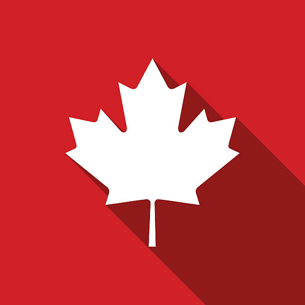 kanadyjska ikona liścia klonu z długim cieniem. ilustracja wektorowa - flag canadian flag patriotism national flag stock illustrations