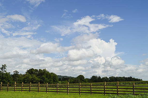 istock Vibrant Sky over Countryside 594022238
