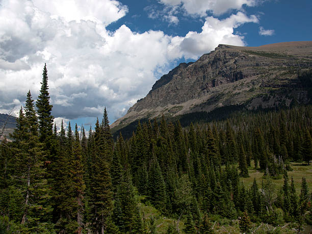 Mountain in Glacier National Park stock photo