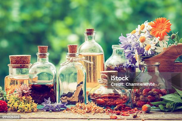 Flaschen Tinktur Oder Trank Und Trockene Gesunde Kräuter Stockfoto und mehr Bilder von Kräutermedizin