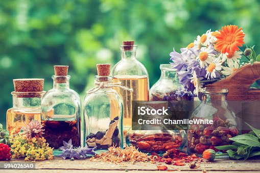 istock Bottles of tincture or potion and dry healthy herbs 594026540