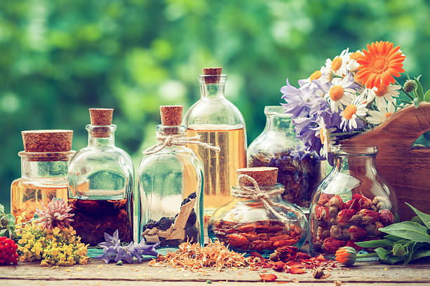 bottles of tincture or potion and dry healthy herbs - herbal medicine fotos imagens e fotografias de stock