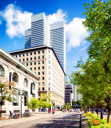 Downtown Montreal McGill street view towards place Ville-Marie. A small crowd is crossing the street in the back while stores and restaurants line the street on one side and trees on the other.