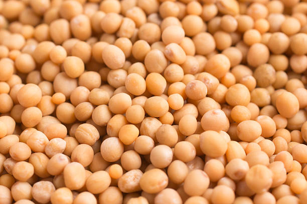 istock Close-up on a Mustard seeds 594029858