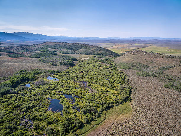 istock aerial view of a stream in Colorado 594032322