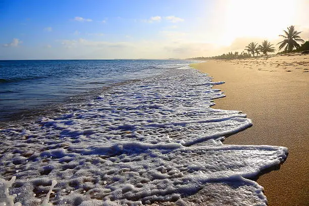Paradise: Praia do Forte idyllic Tropical beach, Bahia, Northeastern Brazil