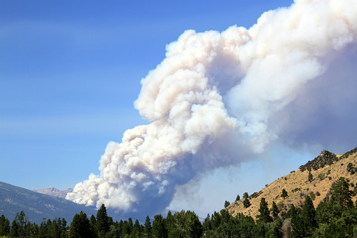 Forest Fire at Roaring Lion Mountain in Montana.